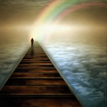 Construction de l’arche